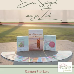 Het boek + beide inzichtkaartensets